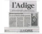 adige 8 giugno 2003.jpg